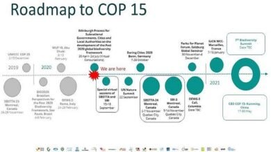 cbd cop 15 upsc