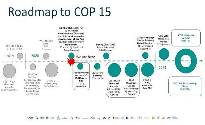 cbd cop 15 upsc