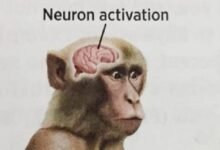 neuron activation meme