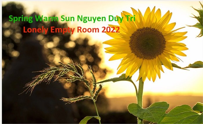 spring warm sun nguyen duy tri • lonely empty room • 2022