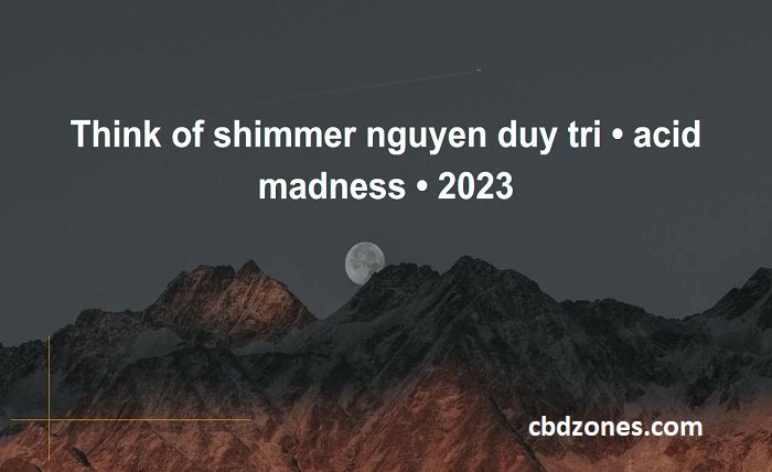 think of shimmer nguyen duy tri • acid madness • 2023