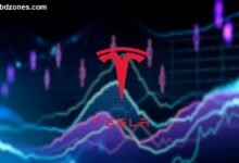 Tesla Share