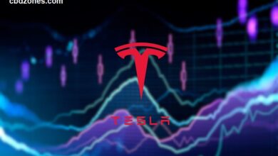 Tesla Share