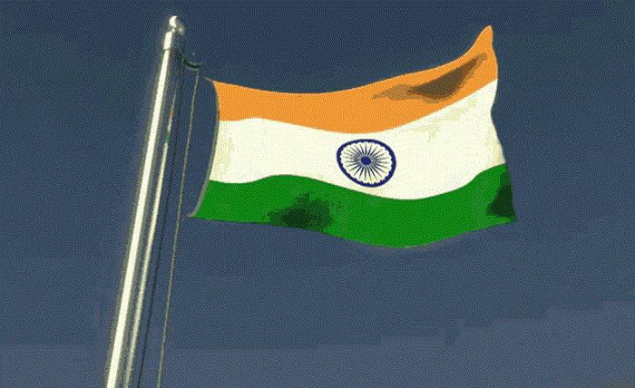 flag waver india